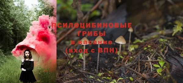 молекула духа Нея