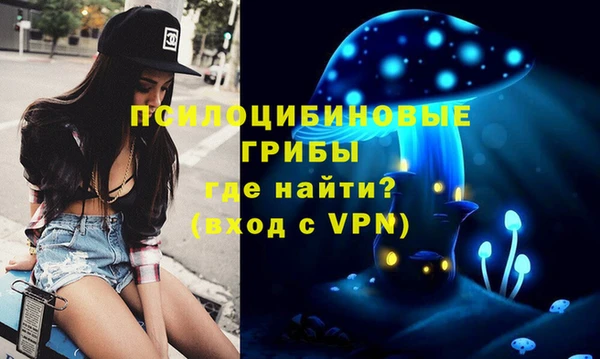 молекула духа Нея