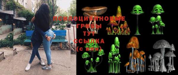 молекула духа Нея