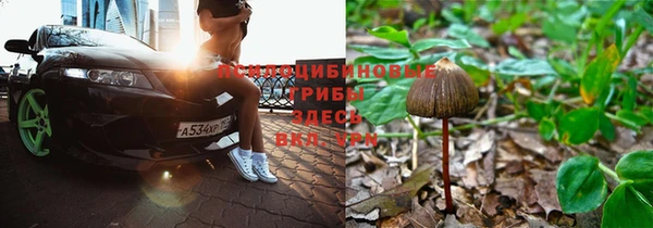 молекула духа Нея