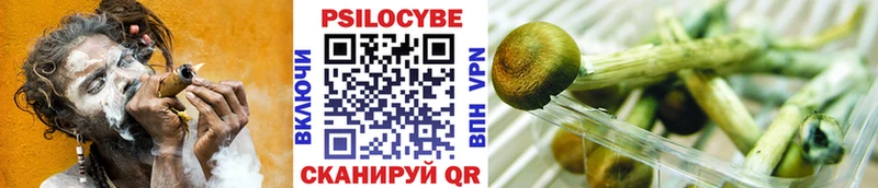 Галлюциногенные грибы Magic Shrooms  ссылка на мегу онион  Хабаровск 