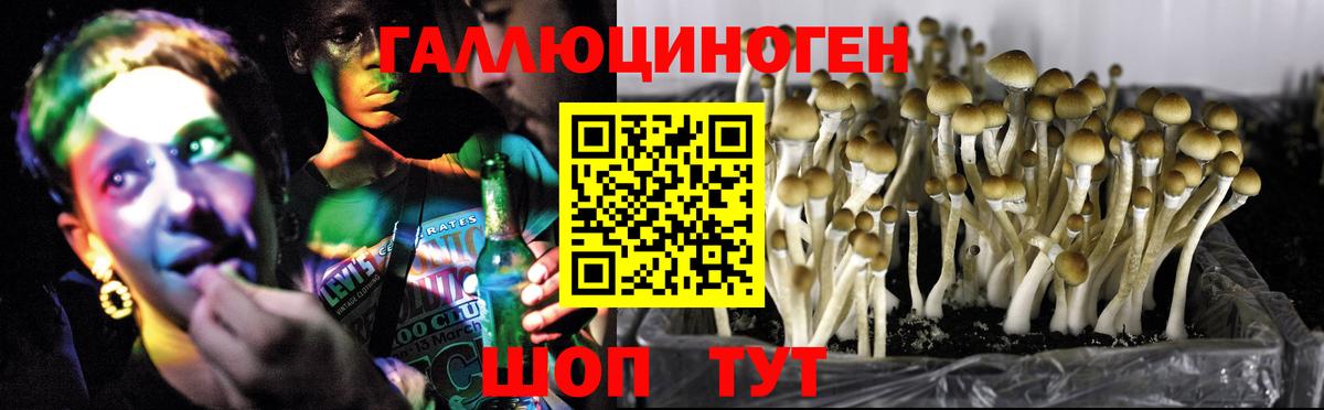 Хабаровск  Галлюциногенные грибы мухоморы  Вход с VPN 