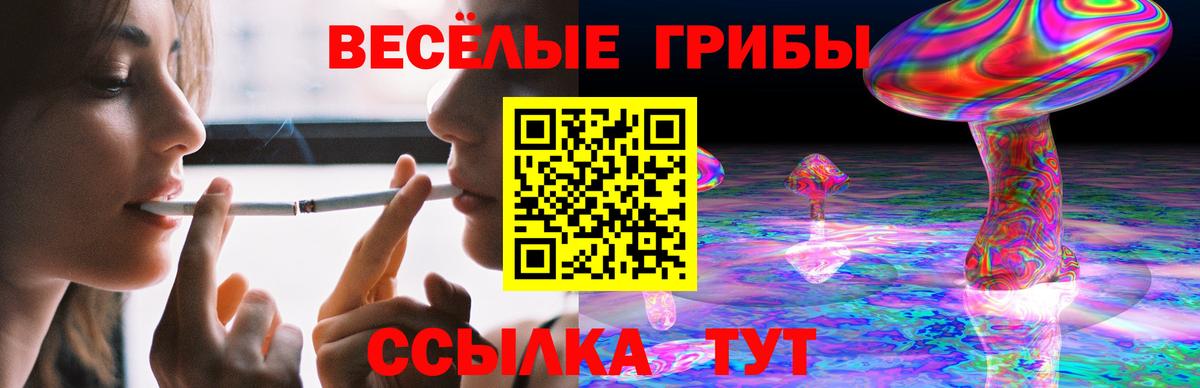 Галлюциногенные грибы Cubensis Хабаровск