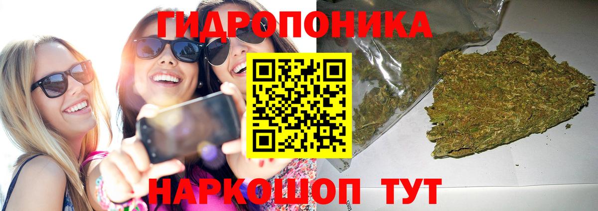 Канабис конопля Хабаровск